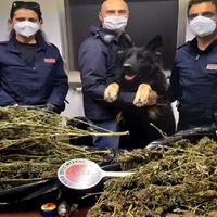 Gli agenti con la marijuana sequestrata e il cane anti-droga