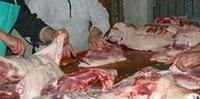 La macellazione di un maiale