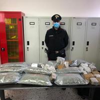 I carabinieri di Nereto arrestano due trafficanti con 26 chili di droga