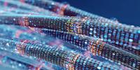Nuova rete comunicazioni per accelerare il progetto di banda ultralarga ad altissima velocità