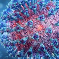 Coronavirus: in aumento i casi di variante inglese nell'area Pescara-Chieti