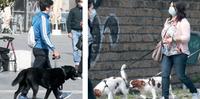 Cani al guinzaglio dei rispettivi padroni lungo le strade di Pescara (foto Giampiero Lattanzio)