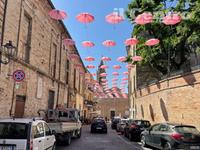 Gli "ombrellini rosa" sospesi nelle strade a Notaresco in occasione del Giro (foto di Luciano Adriani)