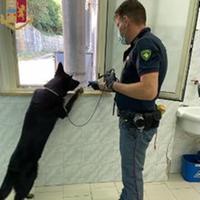 Il cane Ayrton con un poliziotto durante i controlli nelle scuole