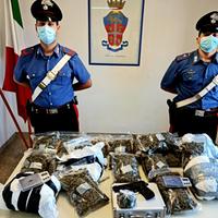 La droga sequestrata dai carabinieri a Giulianova