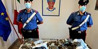 La droga sequestrata dai carabinieri a Giulianova