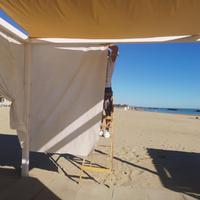 Le tende da sole rimesse a posto sulla spiaggia di Montesilvano