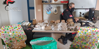 La droga sequestrata dai carabinieri di Pescara