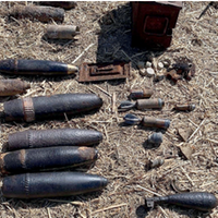 Gli ordigni della seconda guerra mondiale trovati ieri mattina nella riserva regionale di Ortona