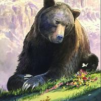 L'orso Juan Carrito ricordato nel disegno di Milo Manara (foto da Fb)