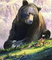 L'orso Juan Carrito ricordato nel disegno di Milo Manara (foto da Fb)