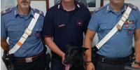 I carabinieri con il cane antidroga e il materiale sequestrato
