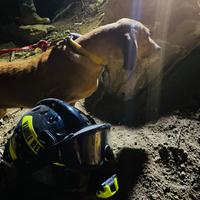 Bruna, la cagnolina salvata dai vigili del fuoco