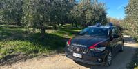 L'auto dei carabinieri sul luogo della tragedia