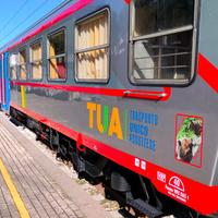 I treni Tua con la nuova livrea e la foto degli orsi Amarena e Juan Carrito