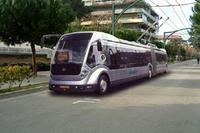 Il filobus sulla strada parco